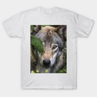 Timber Wolf T-Shirt